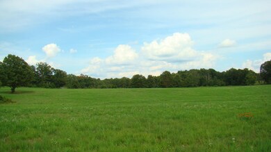 DSC03567