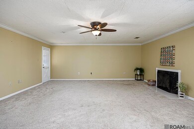 4150 Little Farms Dr, Zachary, LA 70791 - photo 3