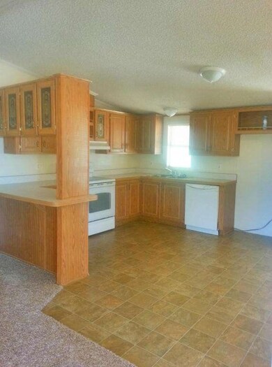 Delaware kitchen 5