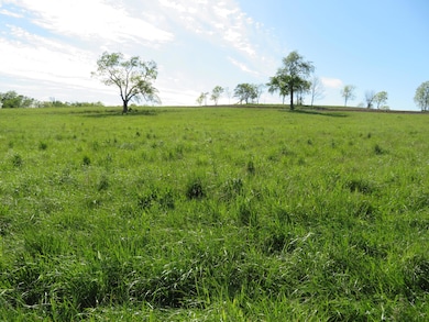 990 Craig Crossing Rd, Winchester, KY 40391 - photo 5