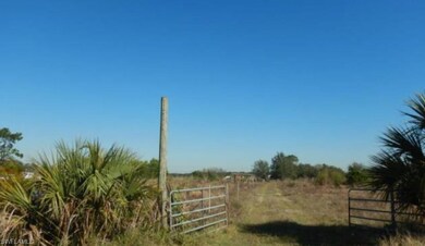 23555 Tina's Ln, Fort Myers, FL 33913 - photo 4