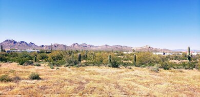 Great Mountain Views (3)