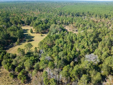 80 Rosenwall Rd, Huntsville, TX 77320 - photo 2