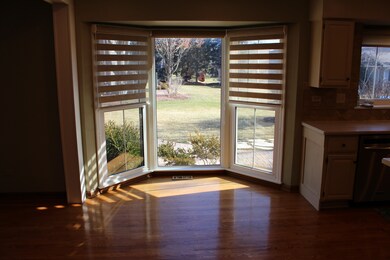 44 Christina Cir, Wheaton, IL 60189 - photo 7