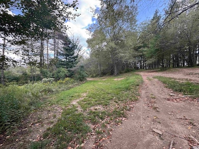 TBD Rapp Dr, Davis, WV 26260 - photo 3