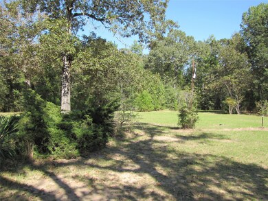 29520 Tudor Way, Magnolia, TX 77355 - photo 2