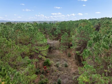 TBD Fm 322, Elkhart, TX 75839 - photo 5