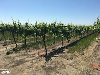 52415-52979 S River Rd, Clarksburg, CA 95612 - photo 5