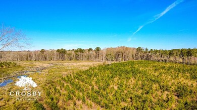 0 Franklin St unit 22865692, Ludowici, GA 31316 - photo 3