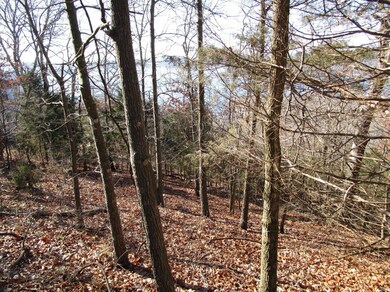 Lot 8 Kings Bishop, Kimberling City, MO 65686 - photo 2