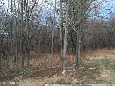 1009 Paper Mill Rd, Chambersburg, PA 17202 - photo 6