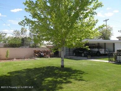 Back Yard and Carport