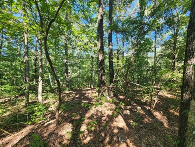 0 Conbanna S D unit 134480, Buchanan, TN 38221 - photo 4