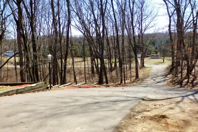 Wooded Lot on a Hill