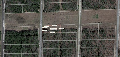 1512 Pavilion Ln, Horseshoe Bend, AR 72512 - photo 2