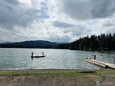 17745 Vine Ln SE, Yelm, WA 98597 - photo 6