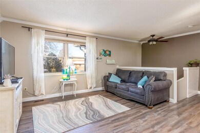 24 Mileva Ct, Farmington, MO 63640 - photo 5