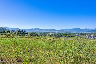 18-1704 N Cambridge Dr, Midway, UT_012
