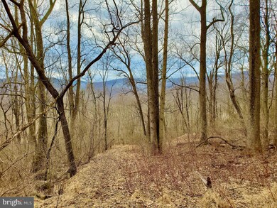 0 Harris Hollow Rd unit VARP107798, Washington, VA 22747 - photo 4