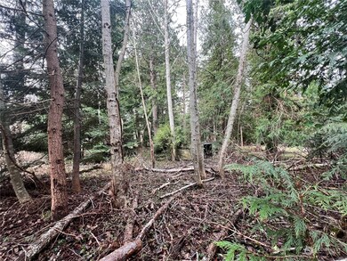 1394 Rex St, Point Roberts, WA 98281 - photo 7