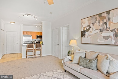 12954 Centre Park Cir unit 303, Herndon, VA 20171 - photo 3