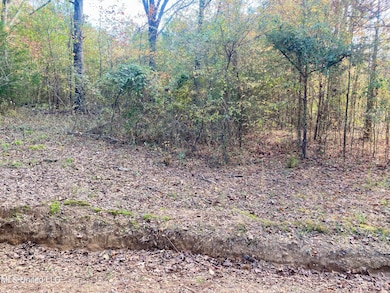 0 Massey Rd, Kosciusko, MS 39090 - photo 4