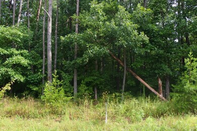 Lot 36 N Shady Lane Loop, Clarkrange, TN 38553 - photo 2