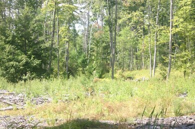 0 Buffam Rd, Pelham, MA 01002 - photo 3