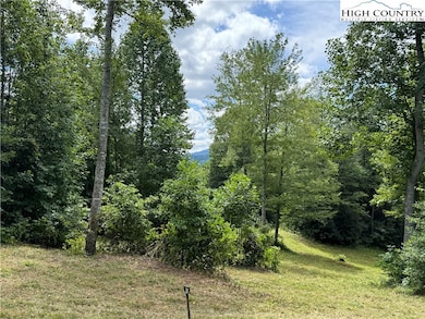 TBD Bryan Davis Rd, Creston, NC 28615 - photo 7