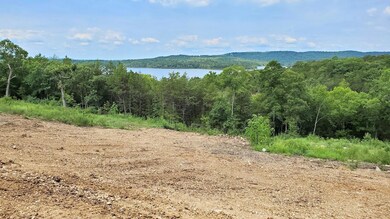 000 Lot 80 Summer Breeze, Kimberling City, MO 65686 - photo 2