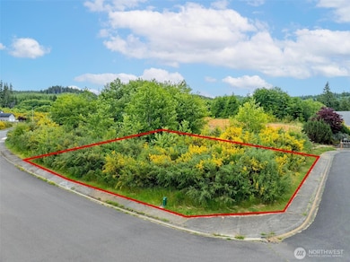 0 Sanderling (Lot 1) Dr unit NWM2326995, Hoquiam, WA 98550 - photo 6