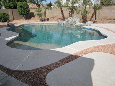 Pool & Patio Area
