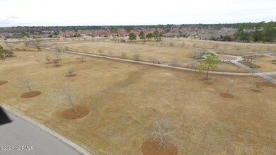 3094 Annsdale Dr S, Leland, NC 28451 - photo 5