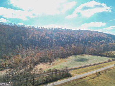 0 Route 11, Attalla, AL 35954 - photo 7