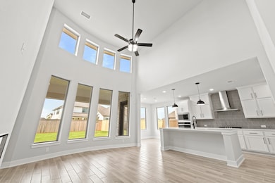 26923 Steradian Lake Ln, Richmond, TX 77406 - photo 4