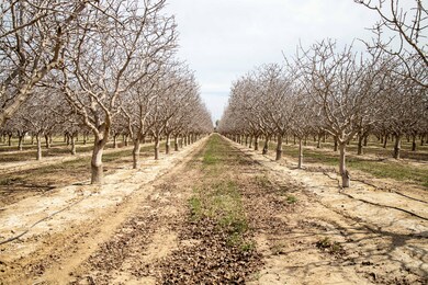 0 W Jayne Ave unit 13650674, Coalinga, CA 93210 - photo 3