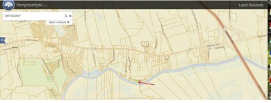 124 Lure Ct, Conway, SC 29526 - photo 2