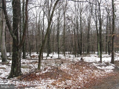 0 Off Cold Run Valley Rd unit 1000289098, Berkeley Springs, WV 25411 - photo 4