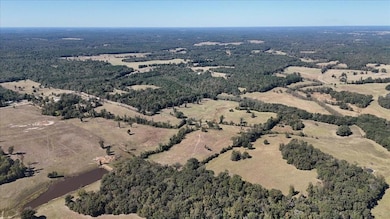 Birds eye view of property with a rural view