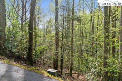 TBD Springhollow Rd, Banner Elk, NC 28604 - photo 7