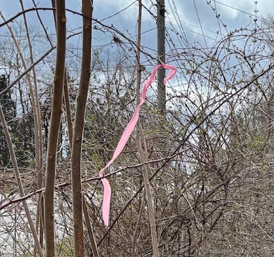 Staked around property, larger pink ribbon marking steak