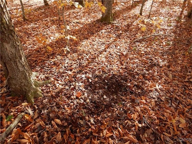 0 New York 220, Oxford, NY 13830 - photo 5