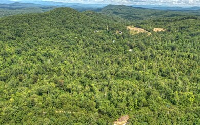 50 AC Lowery Rd, Morganton, GA 30560 - photo 3