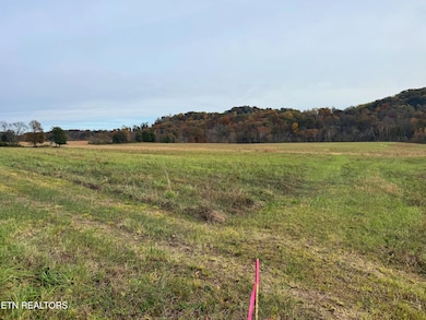 7662 Haws Rd, Knoxville, TN 37920 - photo 2