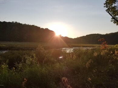 0 N V L Evergreen Dr unit 17049135, White Cloud, MI 49349 - photo 7