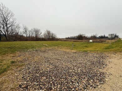 21908 Iowa 14, Allison, IA 50602 - photo 4