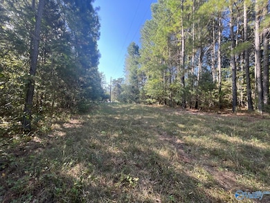 Tract 1 Williams Rd, Athens, AL 35614 - photo 4