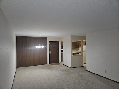 1855 Silver Bell Rd unit 314, Eagan, MN 55122 - photo 3