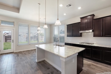 10517 Far Reaches Ln, Helotes, TX 78023 - photo 6