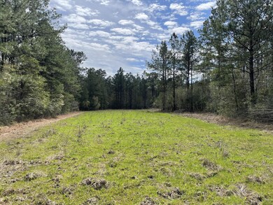 0 Stanford Lake Rd unit 140592, Poplarville, MS 39470 - photo 5